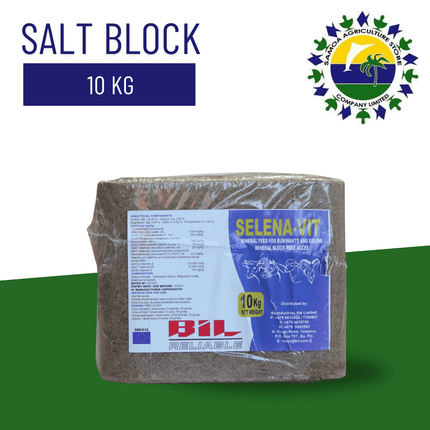 Salt Block 10 KG