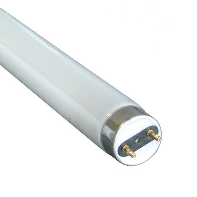 FLUORESCENT TUBE 4ft MASPION - GIE Building Materials Bluebird Lumber 